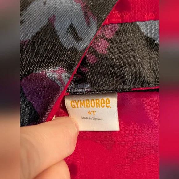 Gymboree Pink and Red Pleated A-Line Dress size 4T - Picture 3 of 5